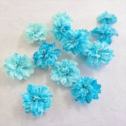 八重コデマリ　青色　 立体乾燥花　2個 1枚目の画像