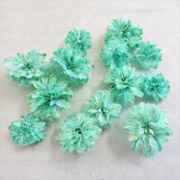 八重コデマリ　緑色　 立体乾燥花　2個 1枚目の画像