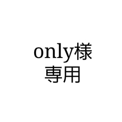 only様専用 1枚目の画像