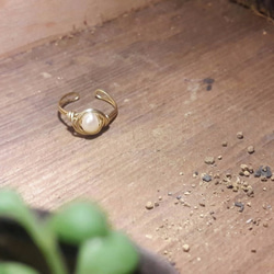 戒指◎珍珠繞線可調式黃銅戒指 第1張的照片
