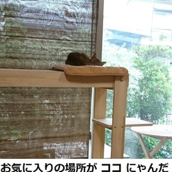 木製キャットタワー・キャットウォーク一体型　にゃんこランド　タイプＡ 3枚目の画像