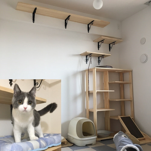 【ギフ_包装】 キャットウォーク 木製 おもちゃ・ペット小物 nekokanmyutan 爪とぎ