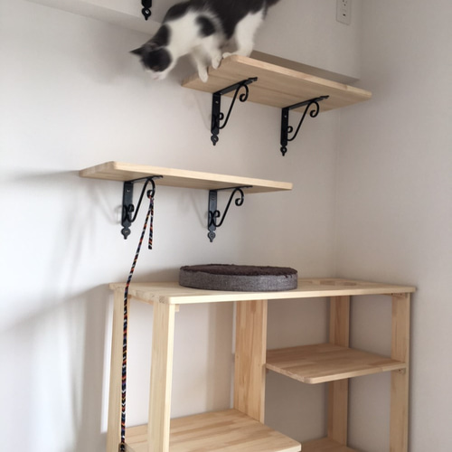 キャットウォーク 木製 おもちゃ・ペット小物 nekokanmyutan