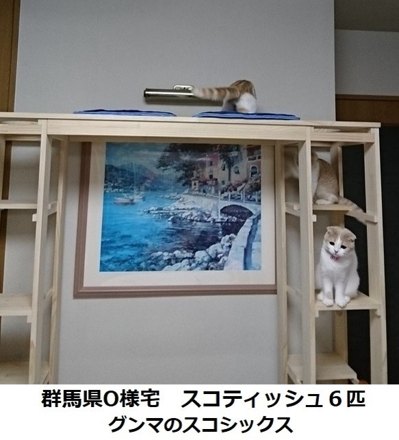 キャットタワー　木製　にゃんこランド　タイプF 5枚目の画像