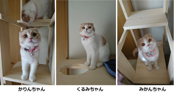キャットタワー　木製　にゃんこランド　タイプF 6枚目の画像