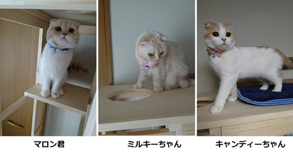 キャットタワー　木製　にゃんこランド　タイプF 7枚目の画像