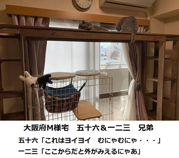 キャットタワー　木製　にゃんこランド　タイプF 9枚目の画像