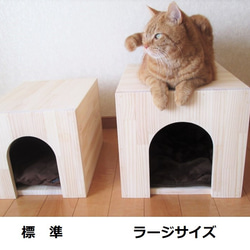 キャットハウス 木製 にゃんこハウス箱型ラージサイズ ハウス