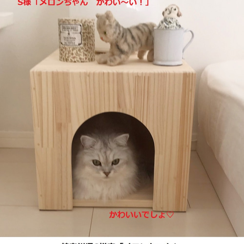 キャットハウス 木製 にゃんこハウス箱型ラージサイズ ハウス