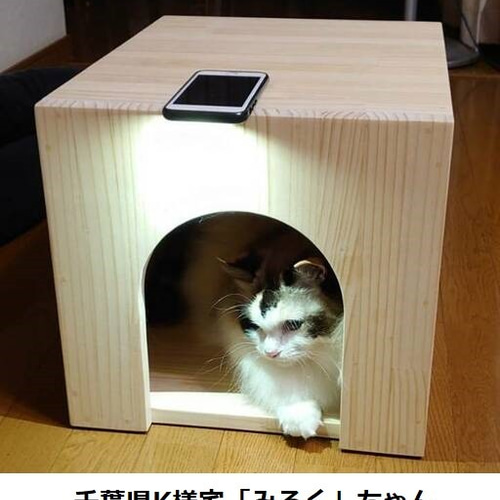 カントリー木工　猫ちゃんハウス 楽天市場】【ねこハウス 入口猫顔 天井床取外し式】 北海道産の