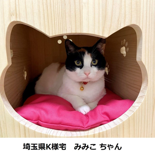 キャットハウス 木製 にゃんこ ”ぷぎゃっと” ハウス・ラージサイズ 