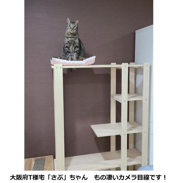 キャットタワー　木製　にゃんこランド　タイプA-Ⅱ　コンパクト型 6枚目の画像