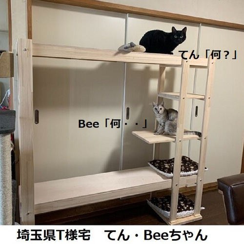 キャットタワー 木製 にゃんこランド タイプA-Ⅱ コンパクト型