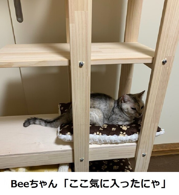 キャットタワー　木製　にゃんこランド　タイプA-Ⅱ　コンパクト型 9枚目の画像