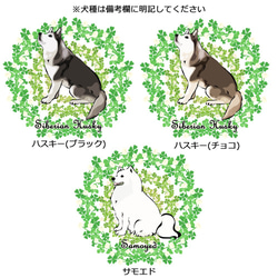 【受注生産】シロツメクサのリースTシャツ　コーギー、パグ、ペキニーズ、チワワ、柴犬他 2枚目の画像