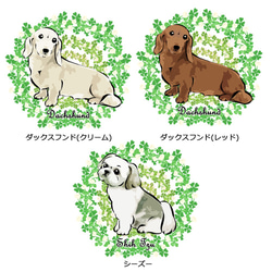 【受注生産】シロツメクサのリースTシャツ　コーギー、パグ、ペキニーズ、チワワ、柴犬他 6枚目の画像