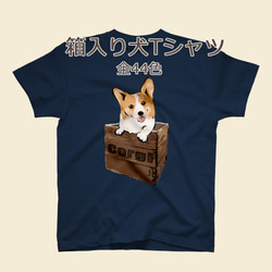 【受注生産】箱入り犬Tシャツ　コーギー、柴犬、パグ、ペキニーズ、チワワ、ラブラドール、シェルティー他 1枚目の画像