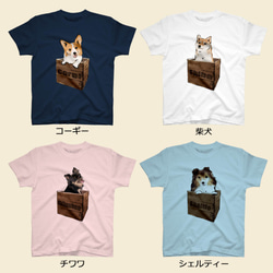 【受注生産】箱入り犬Tシャツ　コーギー、柴犬、パグ、ペキニーズ、チワワ、ラブラドール、シェルティー他 2枚目の画像