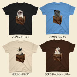 【受注生産】箱入り犬Tシャツ　コーギー、柴犬、パグ、ペキニーズ、チワワ、ラブラドール、シェルティー他 3枚目の画像