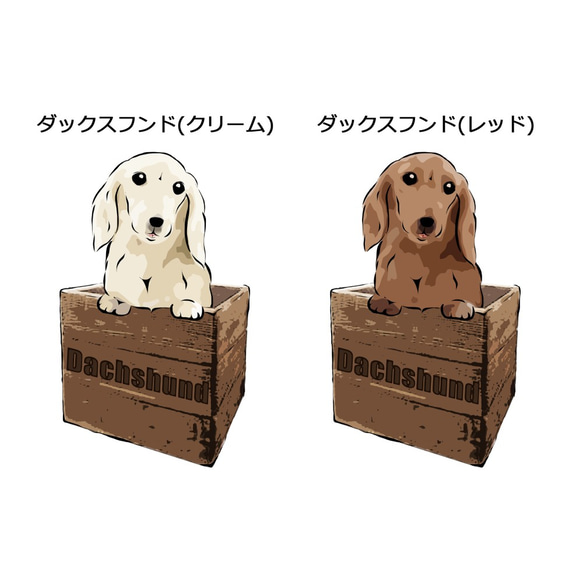 【受注生産】トートバッグMサイズ　～箱入り犬シリーズ～　ダックスフンド　エコバッグ 2枚目の画像