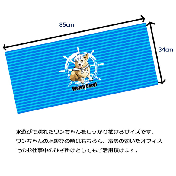 【受注生産】マリンだワンフェイスタオル  コーギー　パグ　ペキニーズ　柴犬　プードル　チワワ他 2枚目の画像