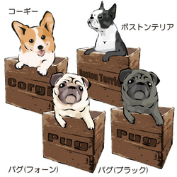 トートバッグMサイズ　～箱入り犬シリーズ～　コーギー、パグ、ボストンテリア、ペキニーズ、ラブラドールレトリバー、柴犬 2枚目の画像