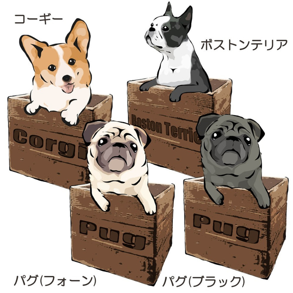 トートバッグMサイズ　～箱入り犬シリーズ～　コーギー、パグ、ボストンテリア、ペキニーズ、ラブラドールレトリバー、柴犬 2枚目の画像