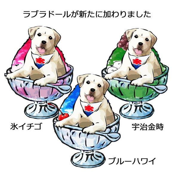 【受注生産】かき氷ワンちゃんポロシャツ　氷イチゴ　コーギー、パグ、ペキニーズ、柴犬、サモエド、ハスキー 5枚目の画像