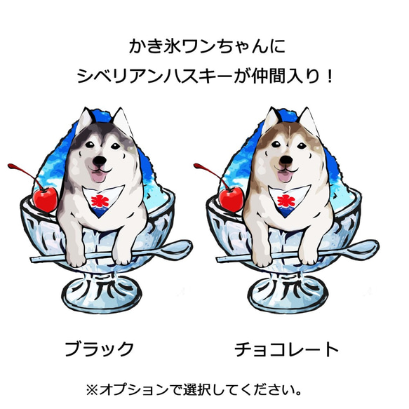 【受注生産】かき氷ワンちゃんTシャツ　ブルーハワイ　全44色！！　コーギー、パグ、ペキニーズ、柴犬、サモエド、ハスキー 5枚目の画像