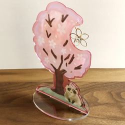 アクリルスタンド　桜とタヌキ♬ 2枚目の画像