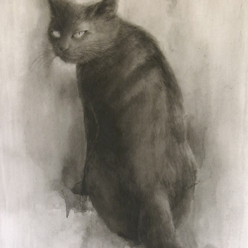 黒猫（水墨画） イラスト 平良レイ 通販 3159177｜Creema(クリーマ)