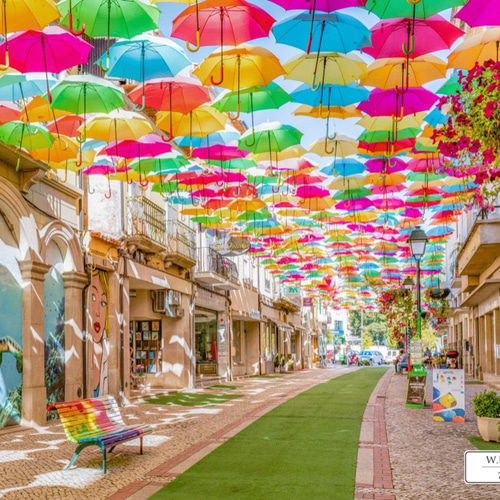 現代美術　シルバパルメイラ　ポルトガル　カモメ　かもめ　タペストリー 現代美術シルバパルメイラポルトガルカモメかもめタペストリー