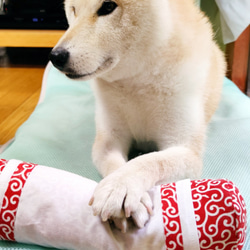 「犬さんのあごのせ枕」　ペットグッズ　犬の枕　柴犬　ひんやり枕　クッション 6枚目の画像