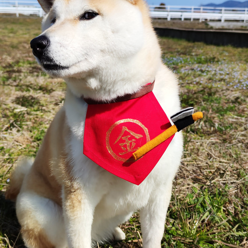 ハロウィンXmas柴犬柄リバーシブルモクモクスタイ　バンダナ　犬柄パネル生地 送料無料】犬樹脂置物【ガーデニング雑貨】クロ柴犬 庭 玄関