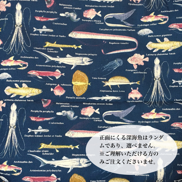 深海魚の大きめキャラメルポーチ(紺) 深海魚柄 ネイビー 魚 化粧ポーチ 深海魚  ストライプ  珍しい 4枚目の画像