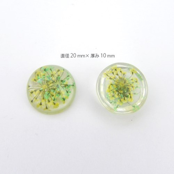 ナチュラルドライフラワー カボション20mm　 YELLOW 4個 4枚目の画像