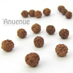 天然素材 Rudraksha beads 【ルドラクシャ】10個 1枚目の画像