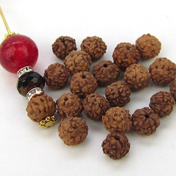 天然素材 Rudraksha beads 【ルドラクシャ】10個 2枚目の画像