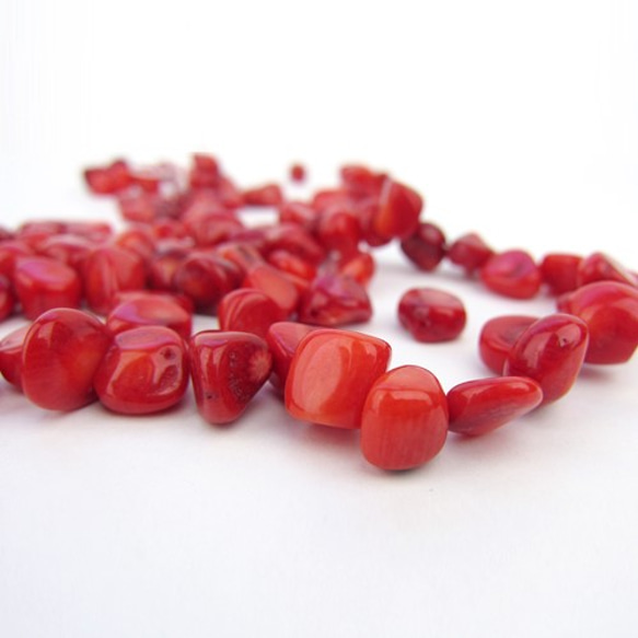 Natural Stone Beads /赤珊瑚ビーズ【Red Coral 5x6〜6x8mm】 20個 3枚目の画像