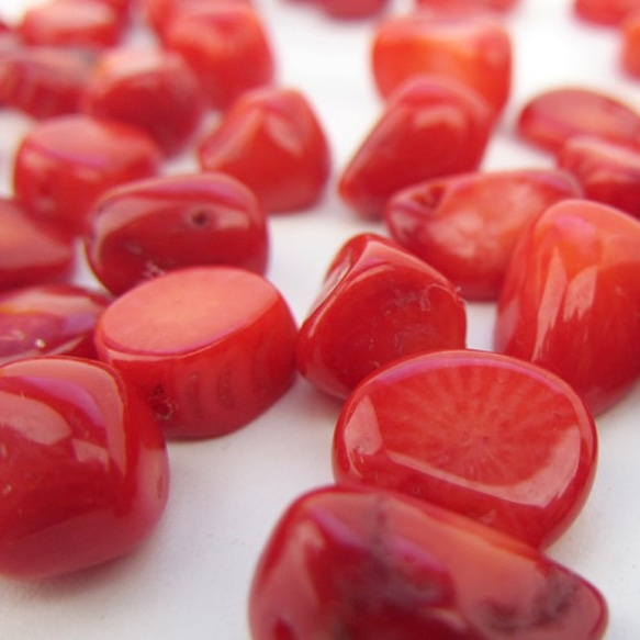 Natural Stone Beads /赤珊瑚ビーズ【Red Coral 5x6〜6x8mm】 20個 5枚目の画像