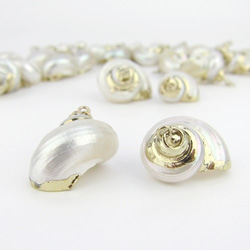 Natural Shell Charm / 天然シェルチャーム【White Snail ホワイト巻貝】2個 3枚目の画像