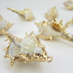 Natural Shell Charm / 天然シェルチャーム【Thorns conch トゲ巻貝】1個 3枚目の画像