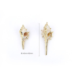 Natural Shell Charm / 天然シェルチャーム【Thorns conch トゲ巻貝】1個 5枚目の画像