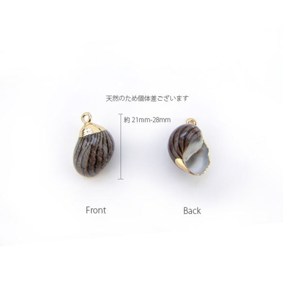 Natural Shell Charm / 天然シェルチャーム【Stripe Snail ストライプ巻貝】2個 4枚目の画像