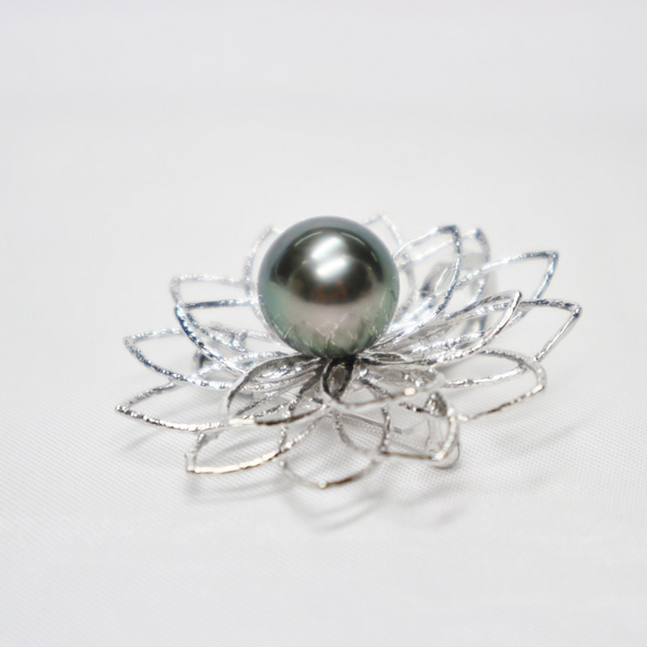 黒蝶真珠ブローチ（10.5mm珠） 6枚目の画像