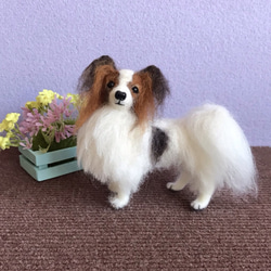 びっけ室内犬います。プロフ確認下さい。　　　羊毛フェルト　パピヨン　犬 パピヨン／白茶・おすわり】羊毛フェルトぬいぐるみ・オーダーメイド