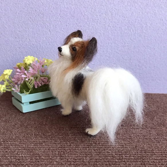 パピヨン☆羊毛フェルト人形☆【再販/受注制作】 