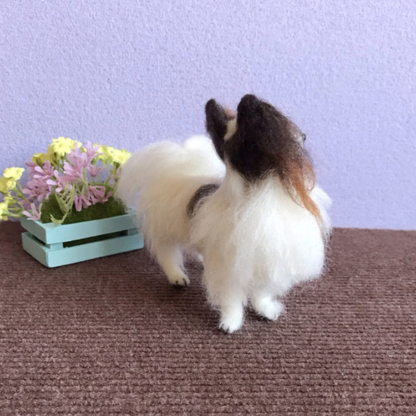 パピヨン☆羊毛フェルト人形☆【再販/受注制作】 