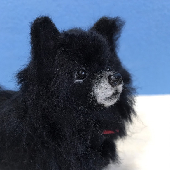 羊毛フェルト　ポメラニアン　ブラック 羊毛フェルトポメラニアンブラック