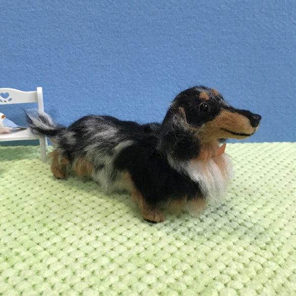 ミニチュアダックス(シルバーダップル)☆羊毛フェルト人形☆【再販/受注製作】 